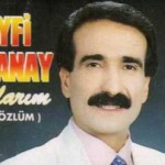 Seyfi Doğanay